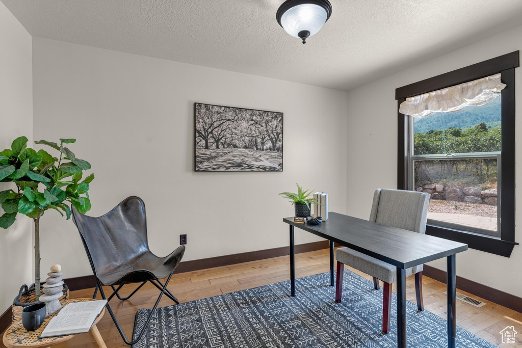 Office featuring a textured ceiling, wood-type flooring, and plenty of natural light