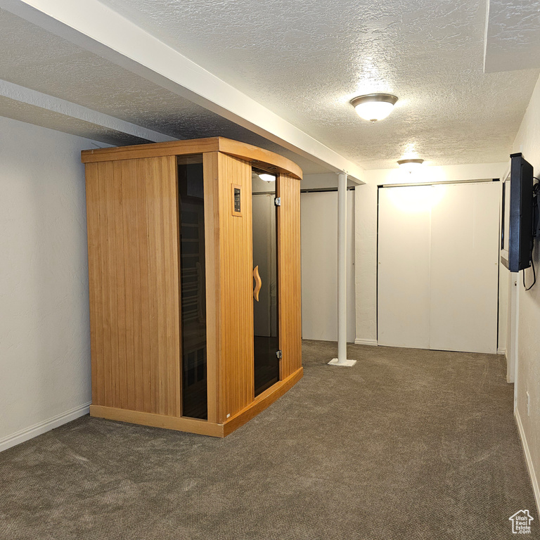 Basement featuring dark carpet and a textured ceiling