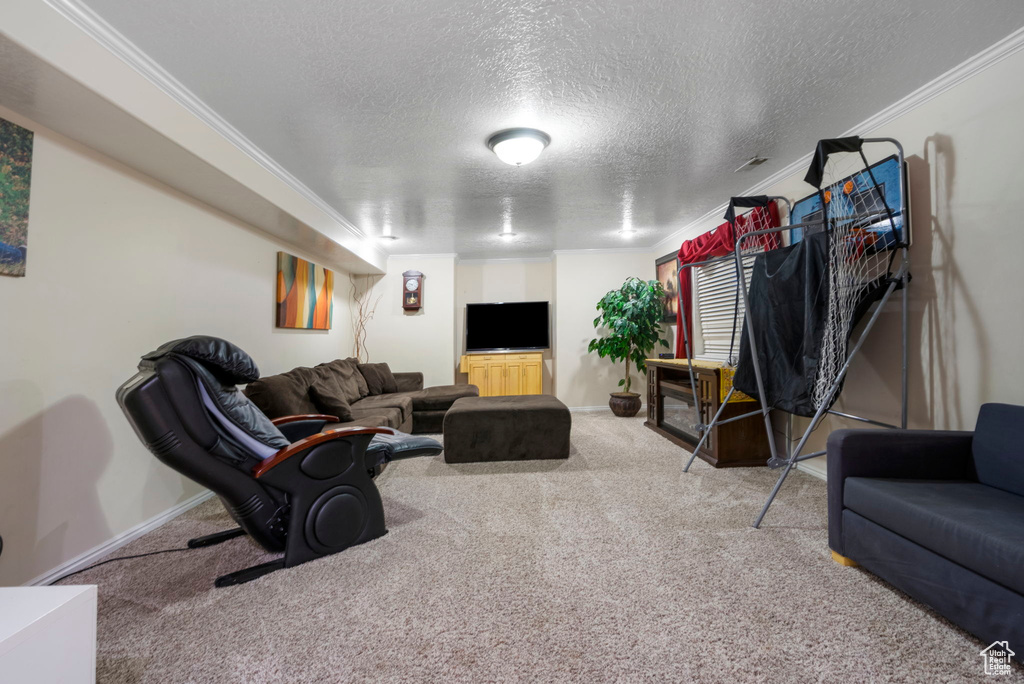 Carpeted living room featuring ornamental molding and a textured ceiling