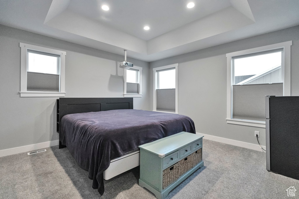 Carpeted bedroom with a tray ceiling