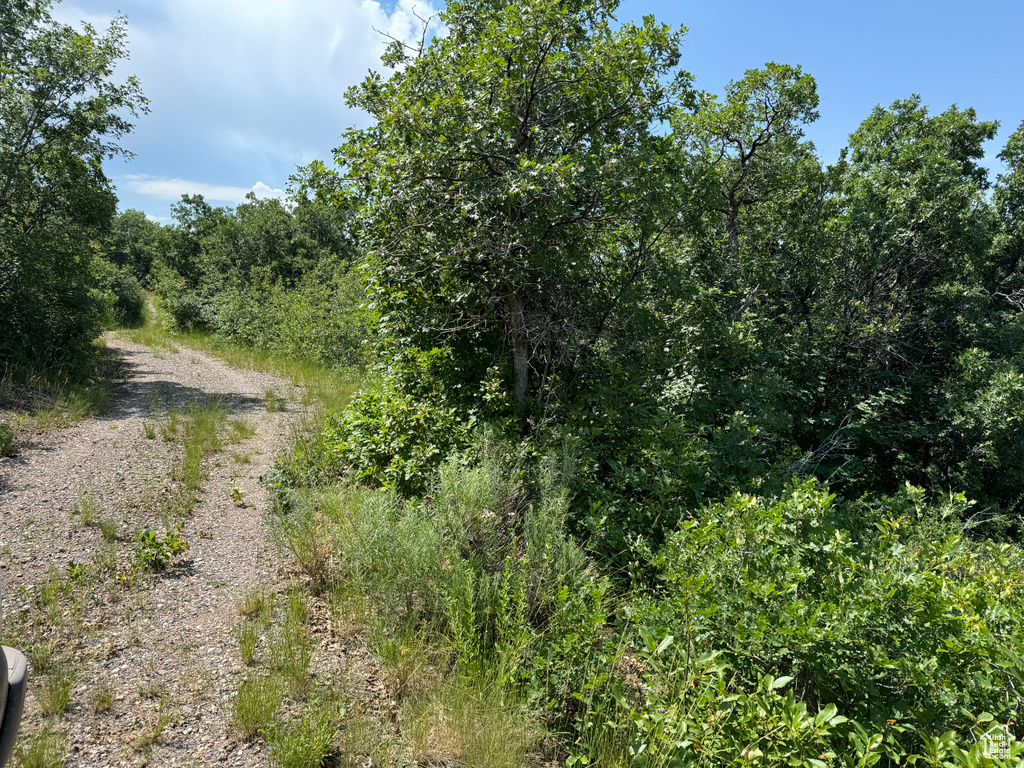 View of landscape