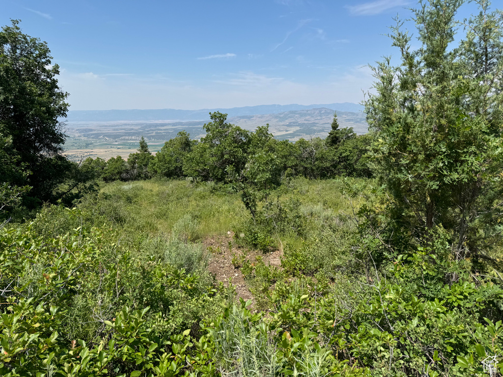 View of local wilderness with a mountain view