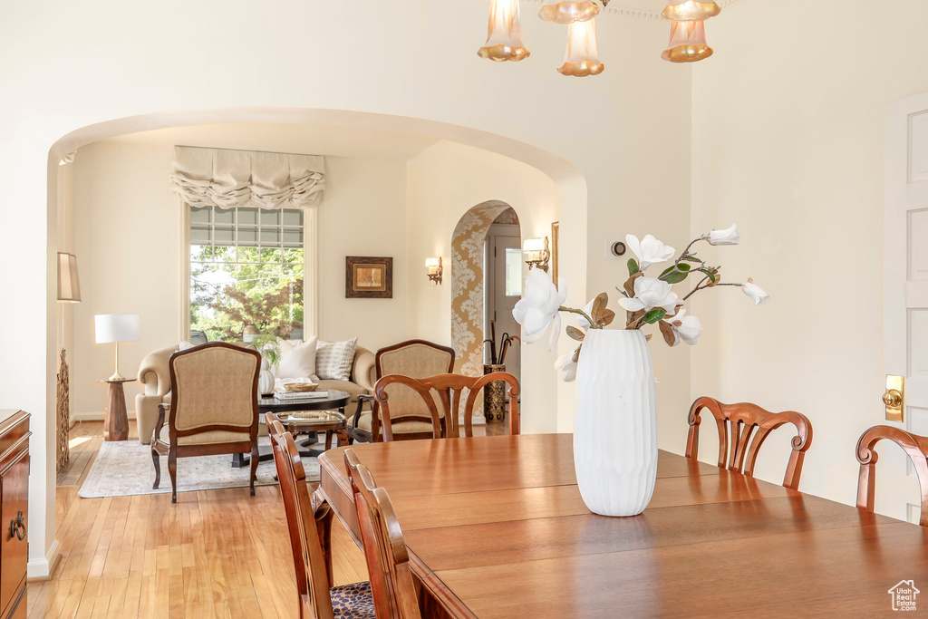 Dining room with light hardwood / wood-style floors