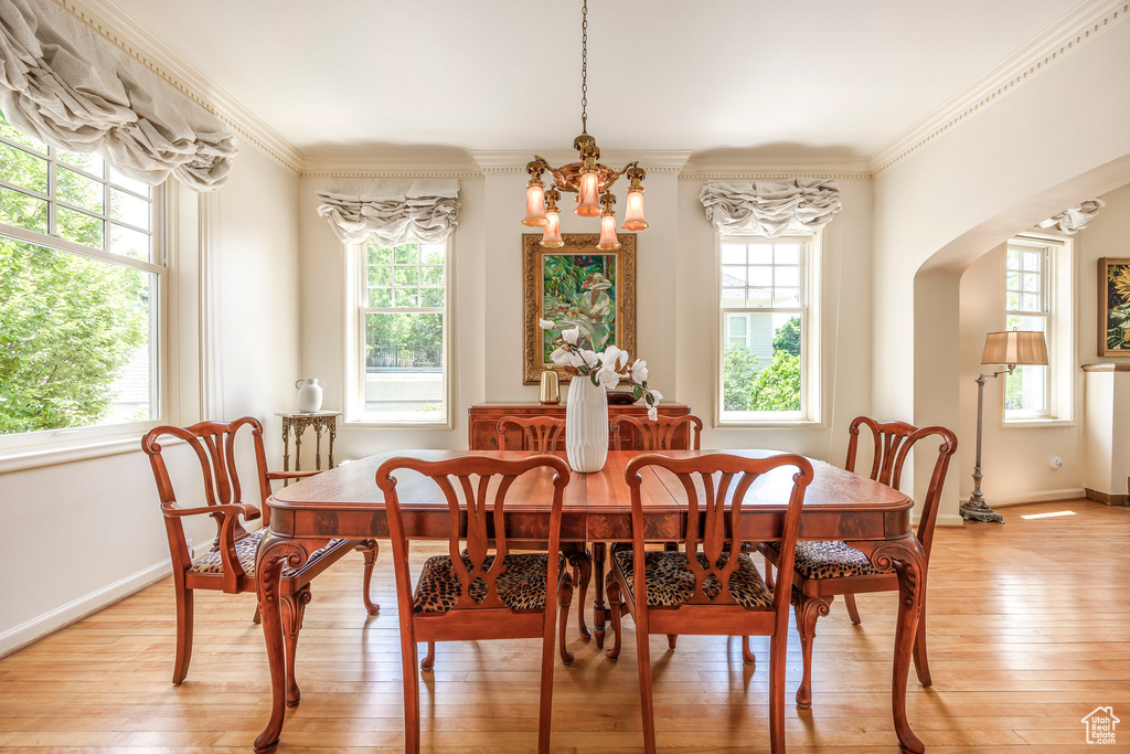 Dining room featuring ornamental molding, light hardwood / wood-style flooring, an inviting chandelier, and a wealth of natural light