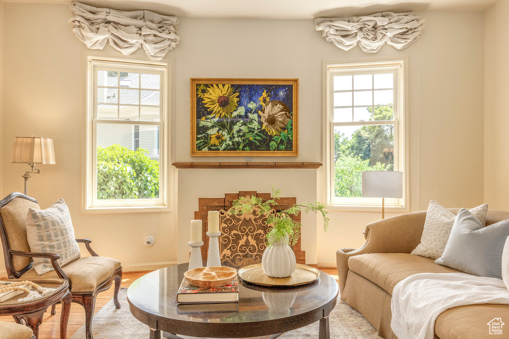 Living room with hardwood / wood-style floors and a wealth of natural light