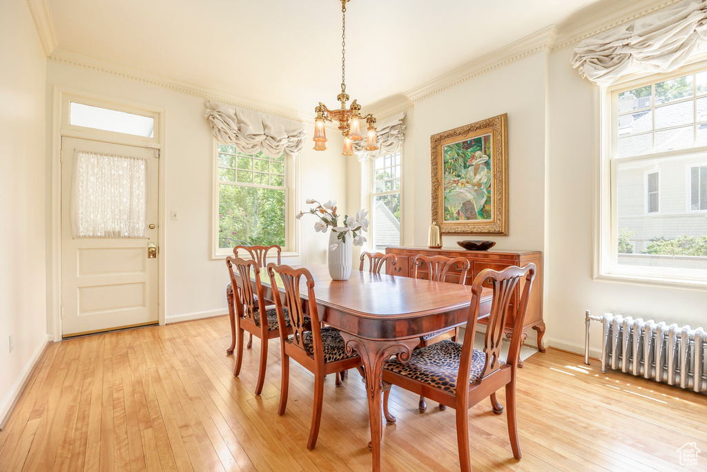 Dining area featuring radiator heating unit, crown molding, a notable chandelier, and light hardwood / wood-style floors