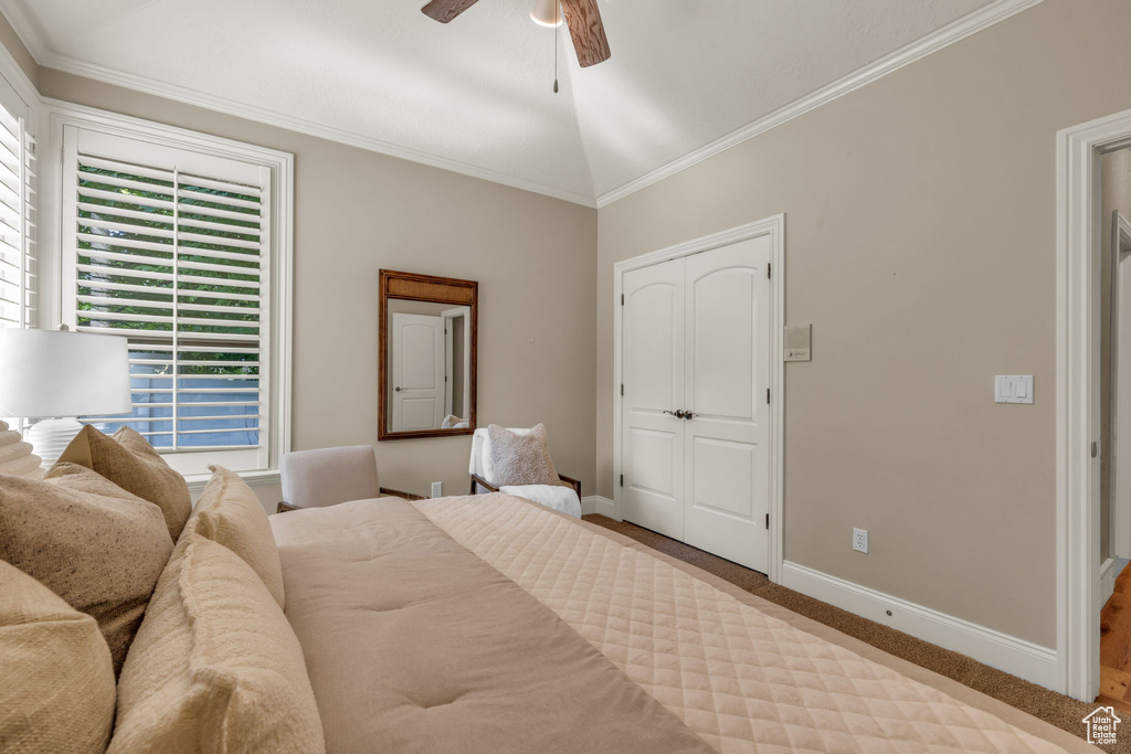 Bedroom with a closet, carpet, ceiling fan, and vaulted ceiling