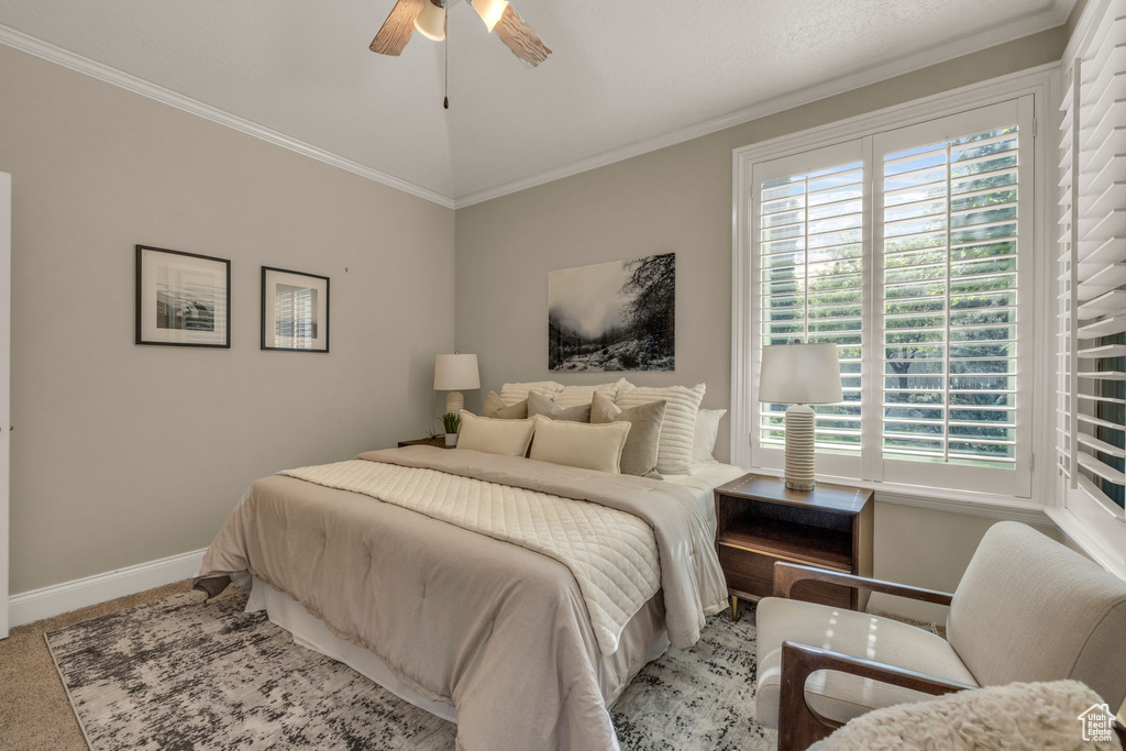 Bedroom featuring crown molding, multiple windows, and ceiling fan