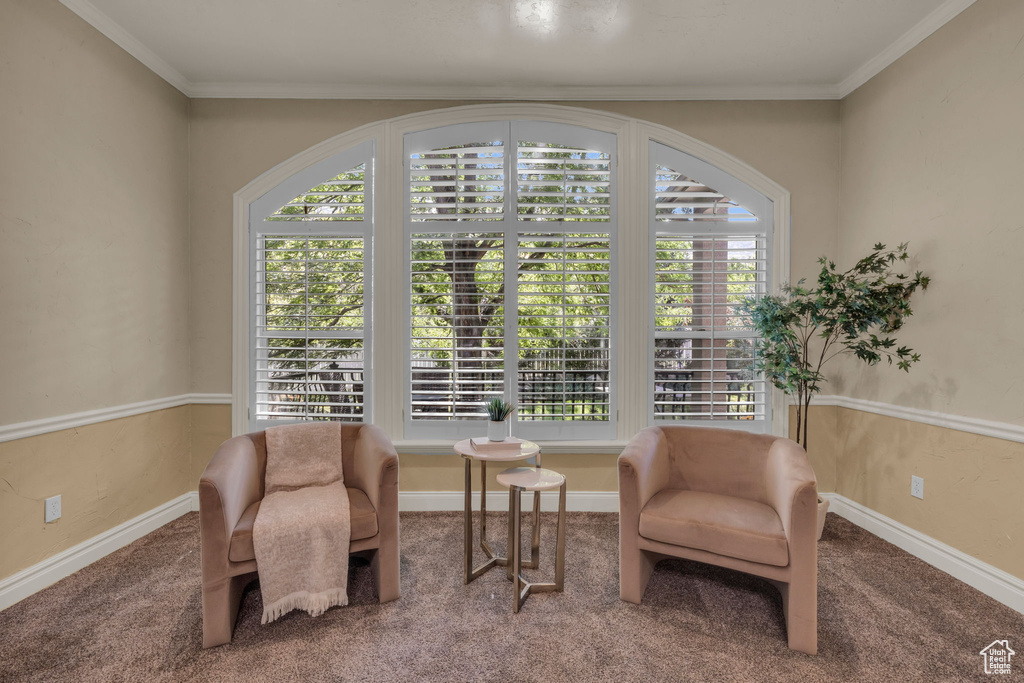 Living area with carpet and ornamental molding