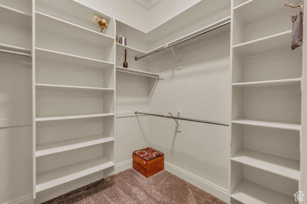 Spacious closet featuring carpet floors