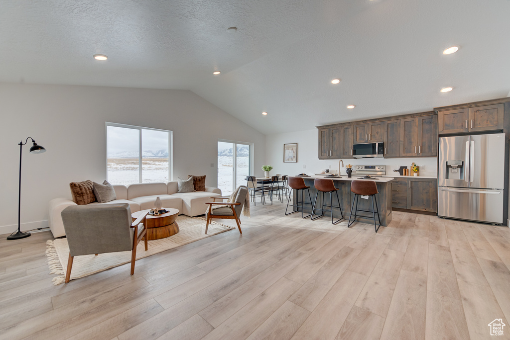 Living room featuring sink, light hardwood / wood-style flooring, and lofted ceiling