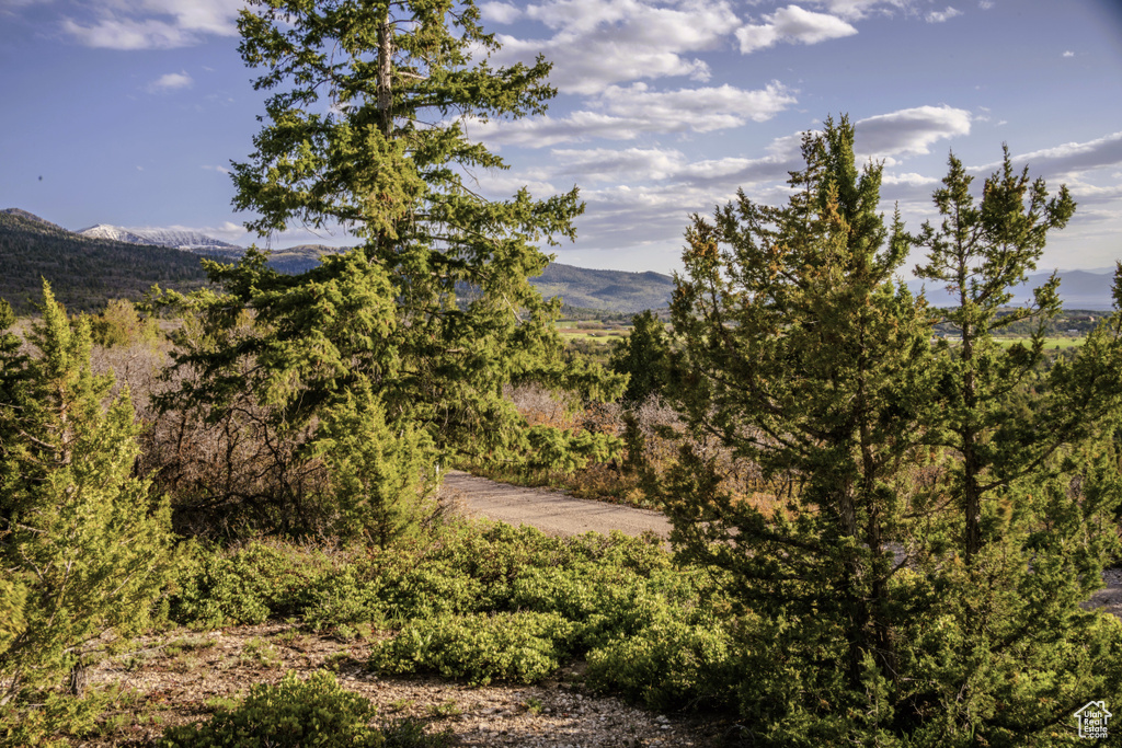 58 Oak Crest Dr Mt Pleasant UT 84647 60,000