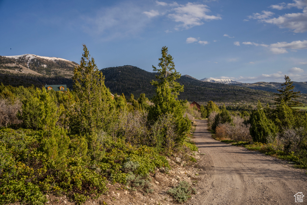 58 Oak Crest Dr Mt Pleasant UT 84647 60,000