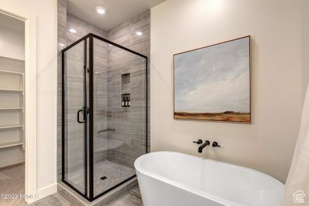 Bathroom with separate shower and tub