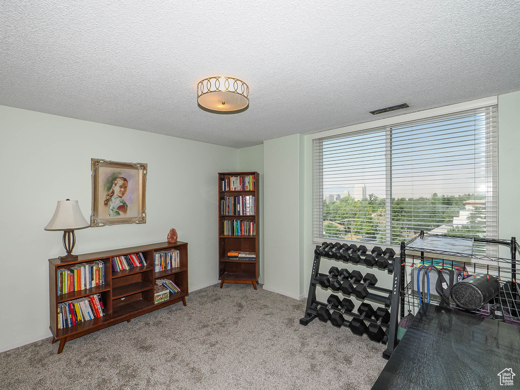 Miscellaneous room featuring carpet floors and a textured ceiling