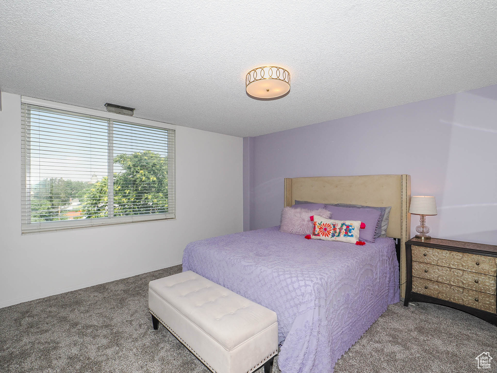 Carpeted bedroom featuring a textured ceiling