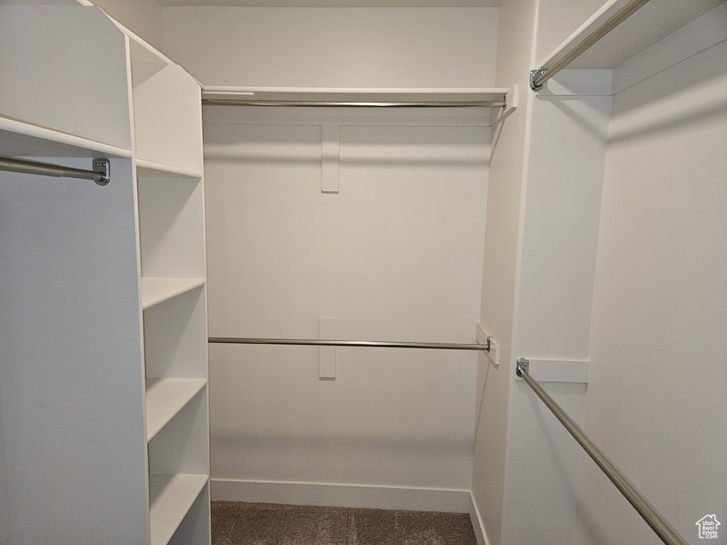 Walk in closet with carpet