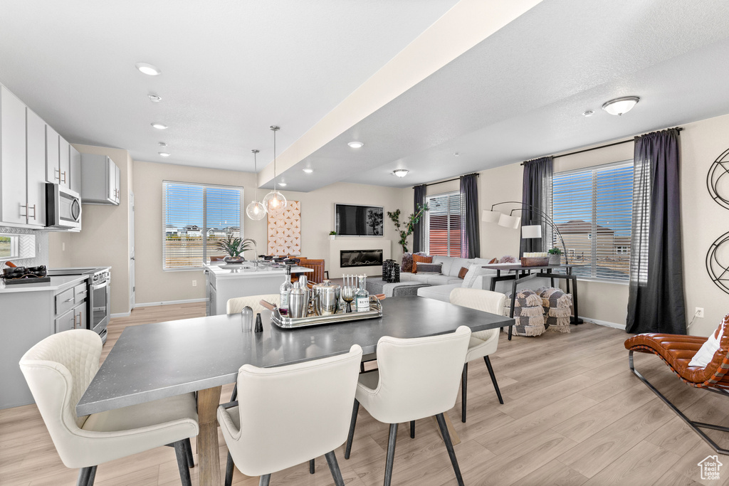 Dining space featuring light hardwood / wood-style floors and a wealth of natural light