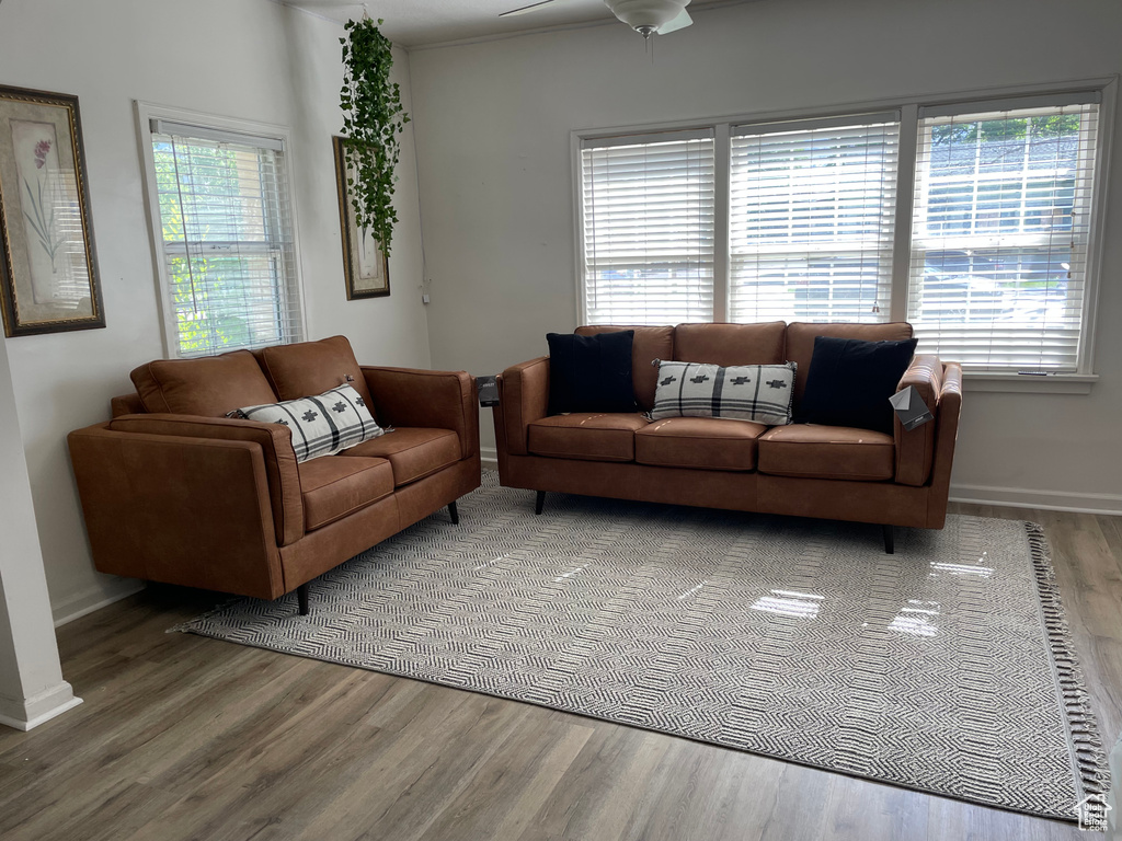 Living room featuring ceiling fan and hardwood / wood-style floors