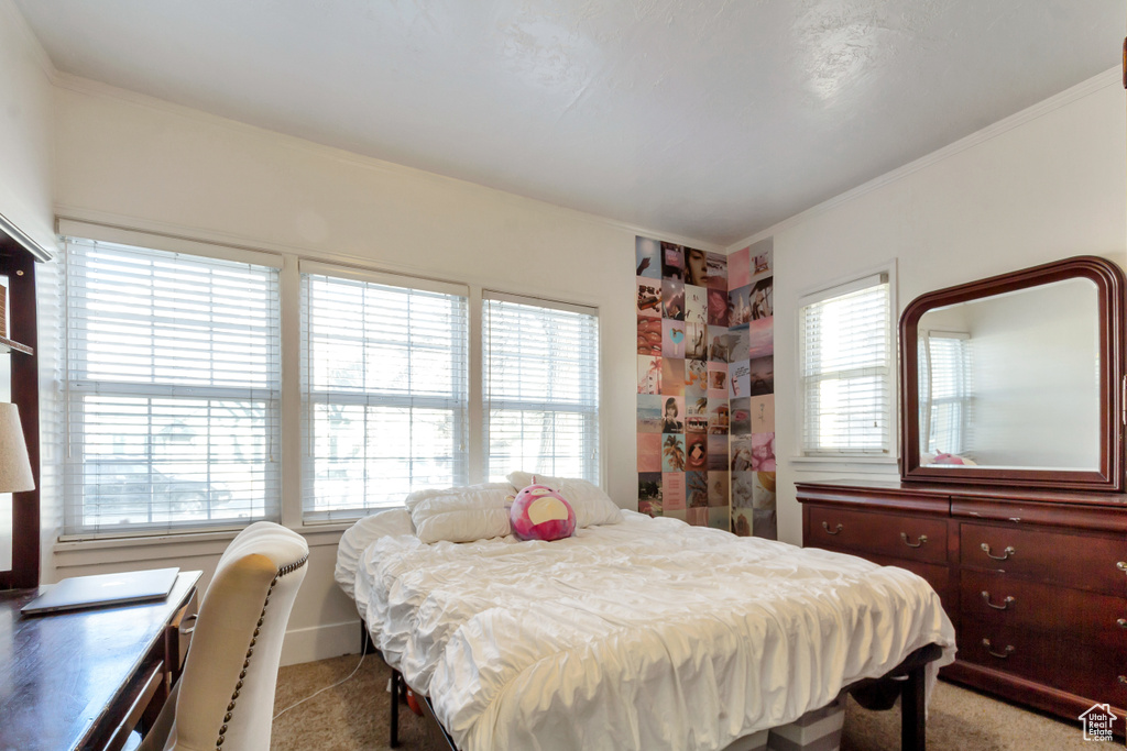 Bedroom featuring multiple windows and carpet floors