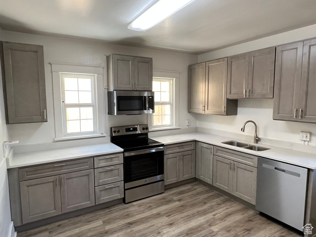 Kitchen featuring gray cabinets, light hardwood / wood-style flooring, appliances with stainless steel finishes, and sink