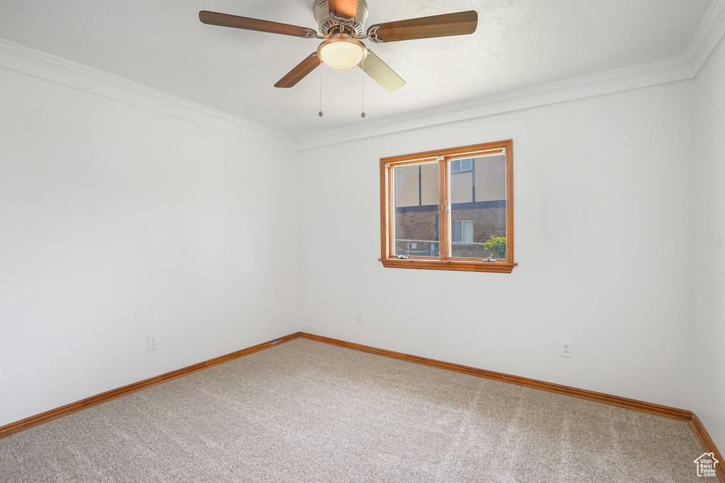 Empty room with ceiling fan, carpet floors, and ornamental molding