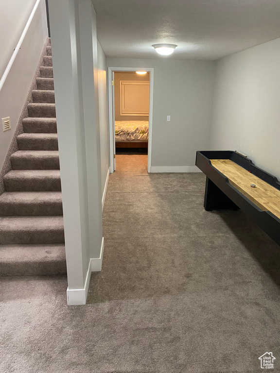 Rec room featuring carpet floors