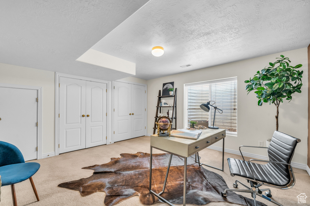 Office area with a textured ceiling and light colored carpet