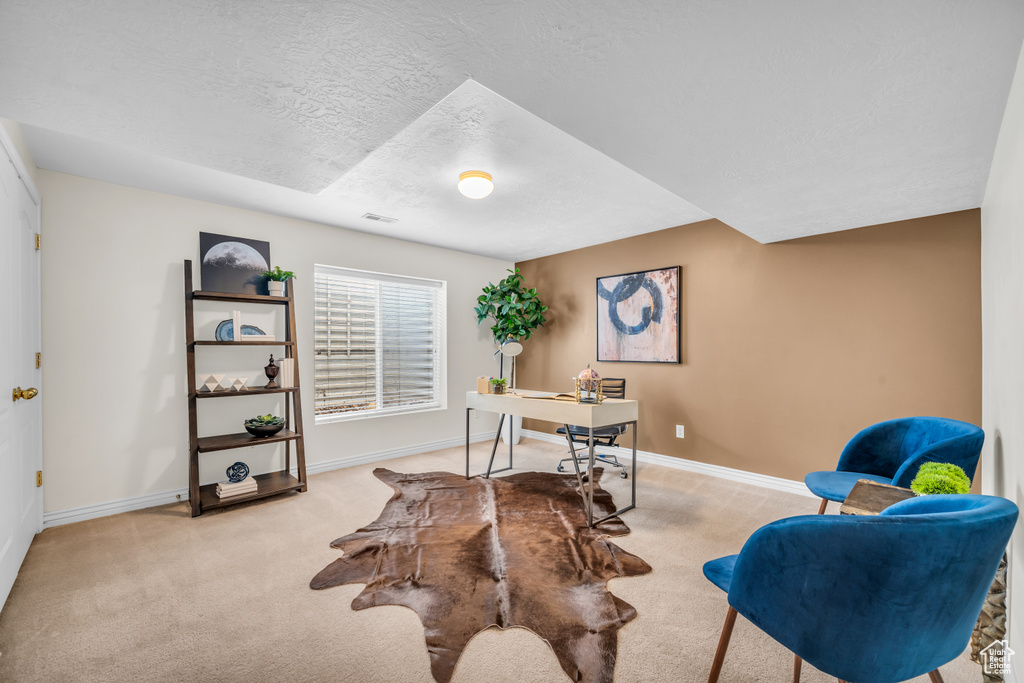 Carpeted office space featuring a textured ceiling