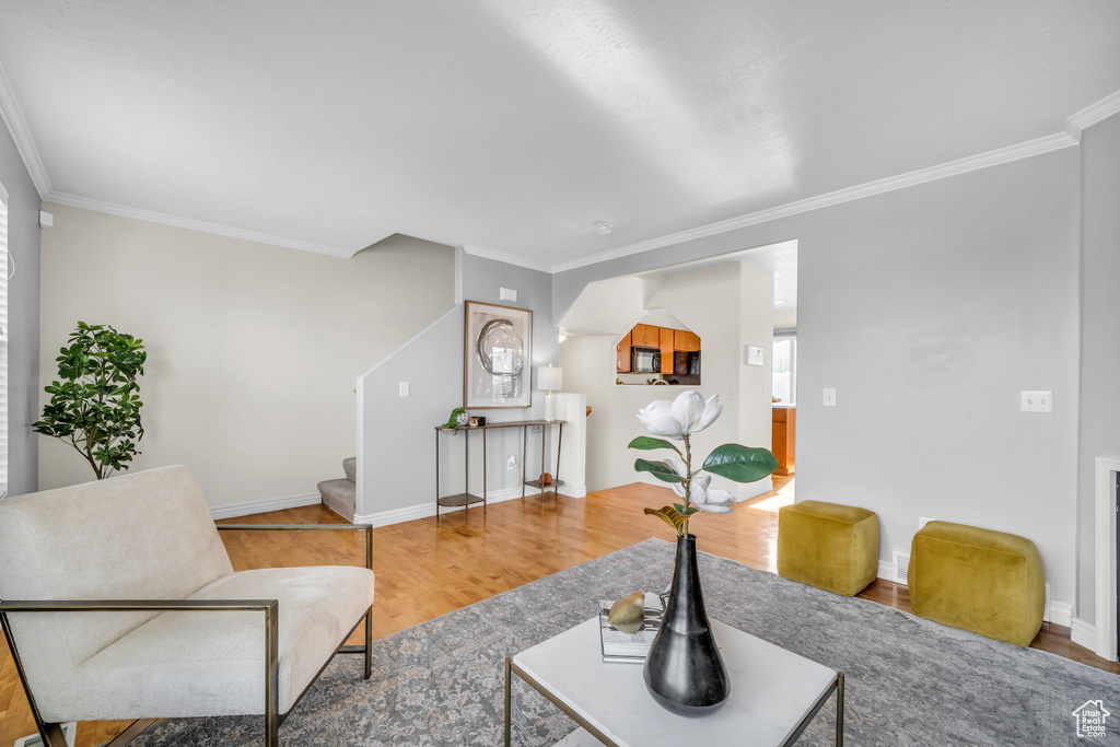 Living room with crown molding and wood-type flooring