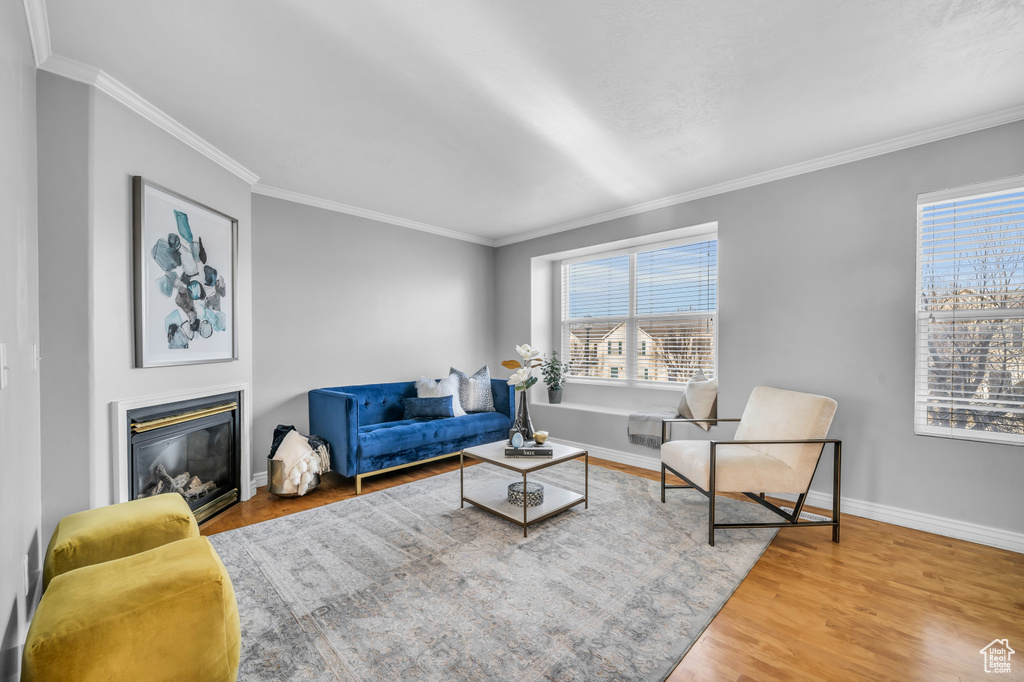 Living room with wood-type flooring and ornamental molding