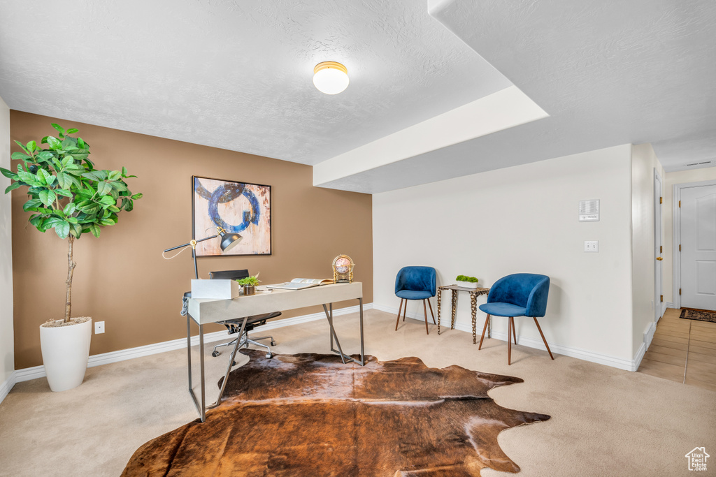 Carpeted office featuring a textured ceiling