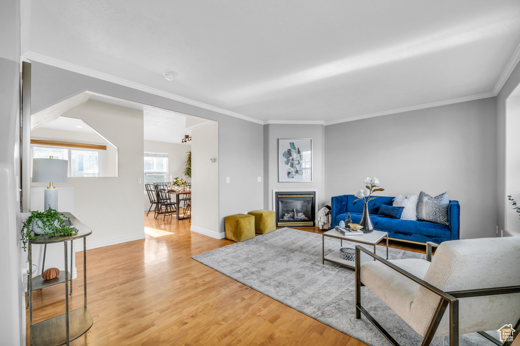 Living room featuring ornamental molding and light hardwood / wood-style floors