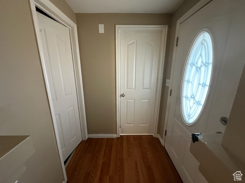 Entrance foyer featuring dark hardwood / wood-style flooring and plenty of natural light