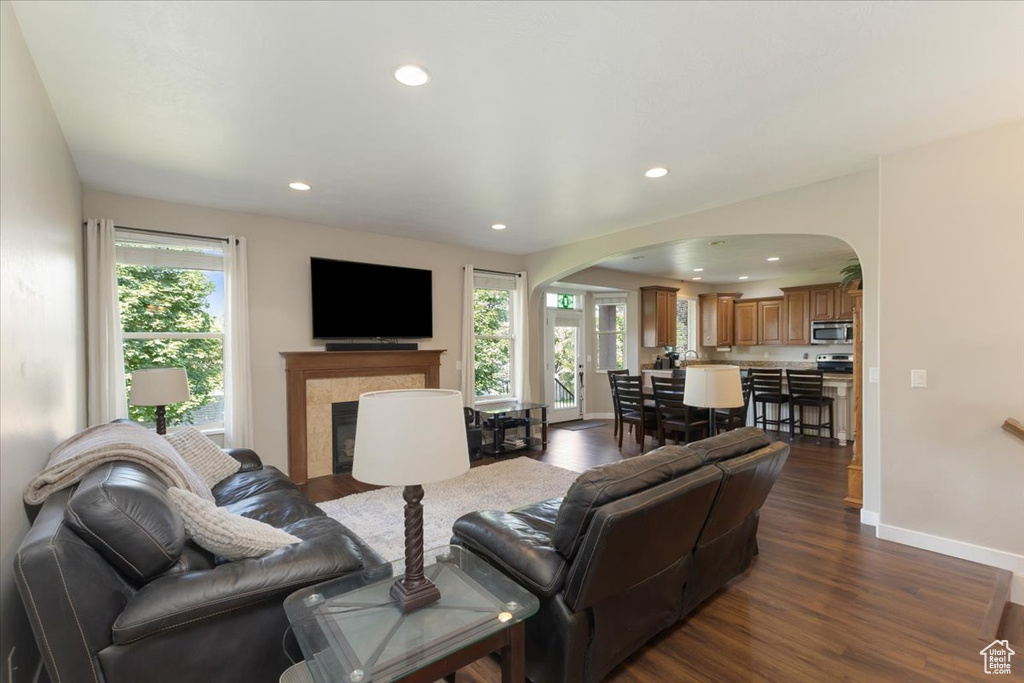 Living room featuring a fireplace, dark hardwood / wood-style floors, and a wealth of natural light