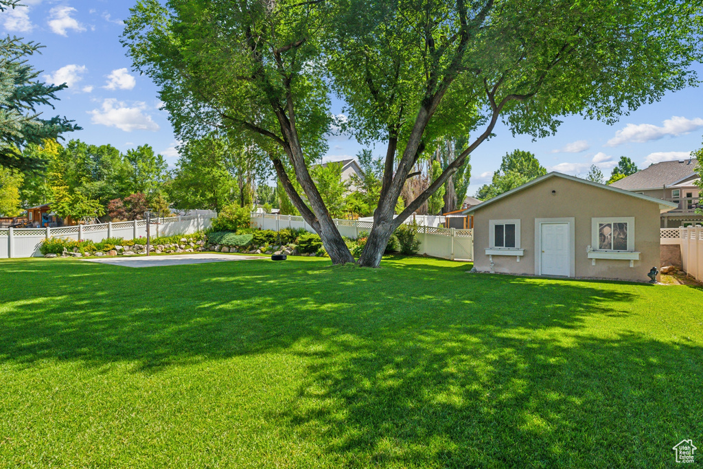 View of yard