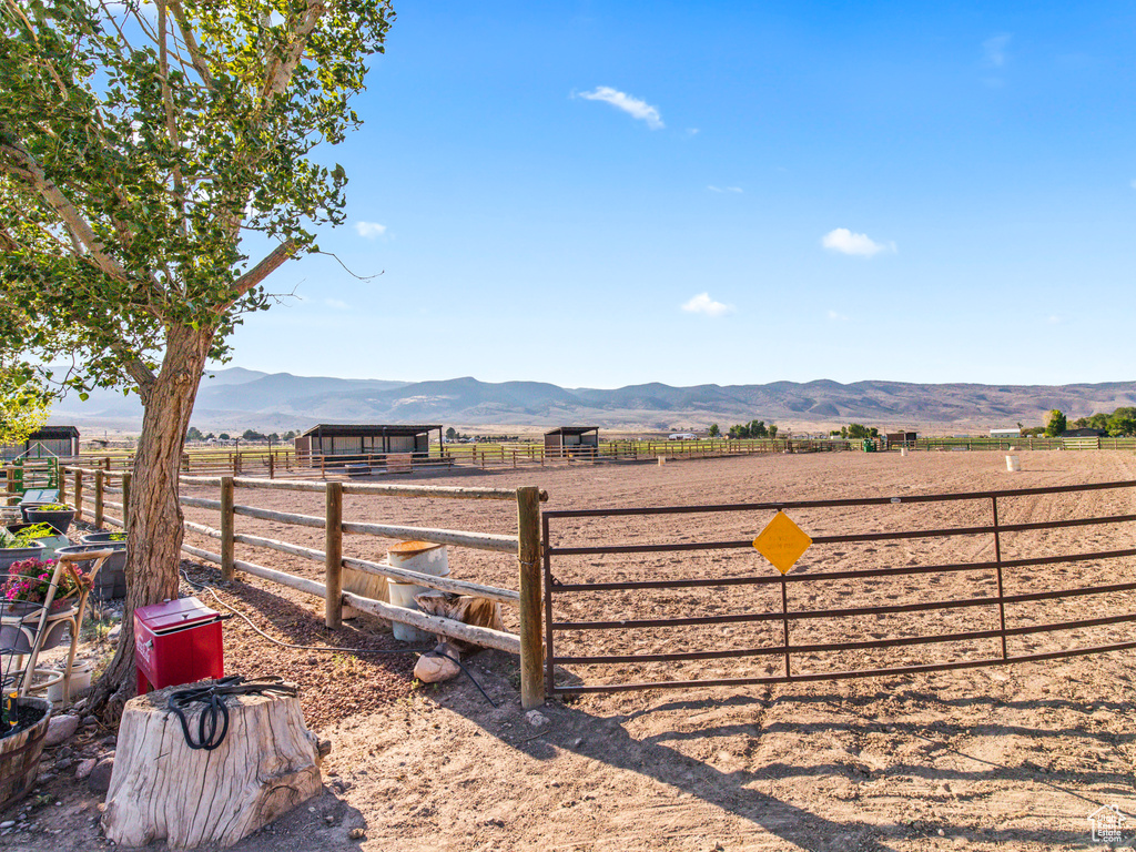 View of yard with a mountain view and a rural view