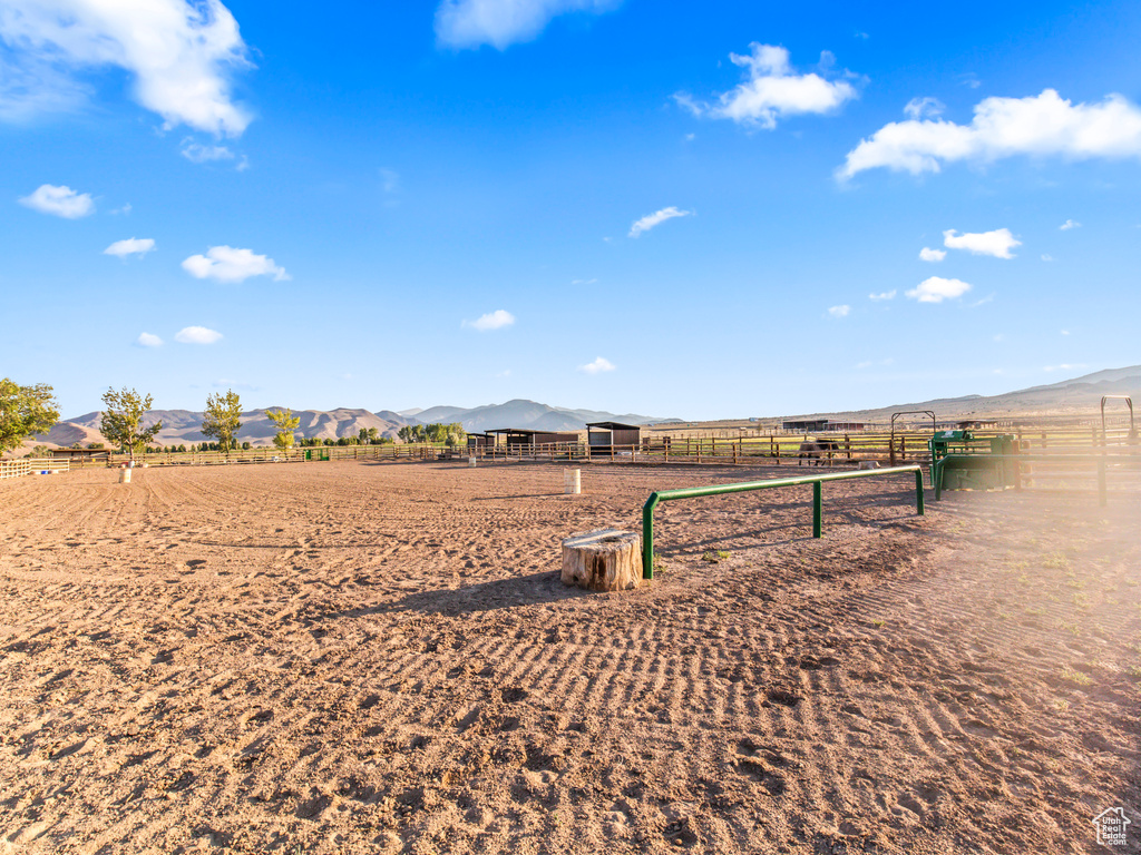 View of yard with a rural view