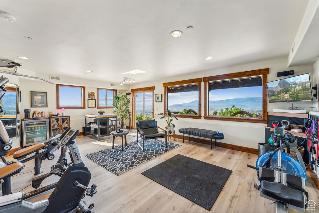 Workout room featuring light hardwood / wood-style floors and plenty of natural light