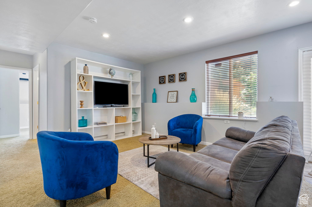 Living room featuring light carpet