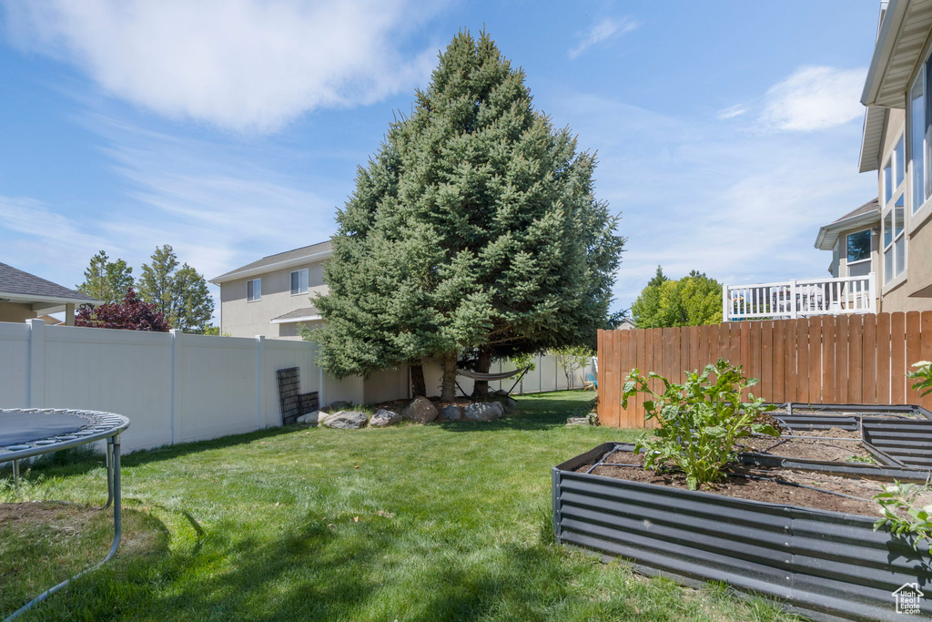 View of yard with a trampoline