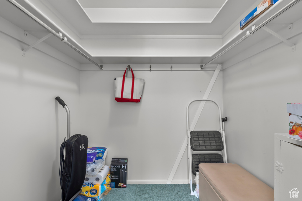 Spacious closet featuring carpet flooring