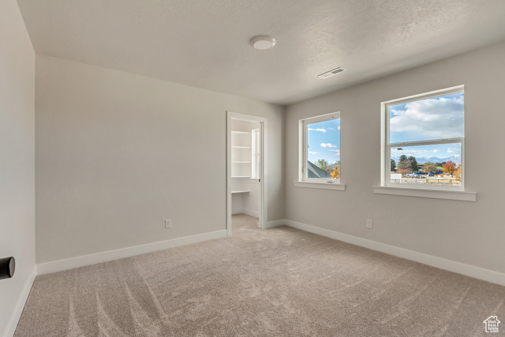 Unfurnished bedroom with light colored carpet, a textured ceiling, and a closet