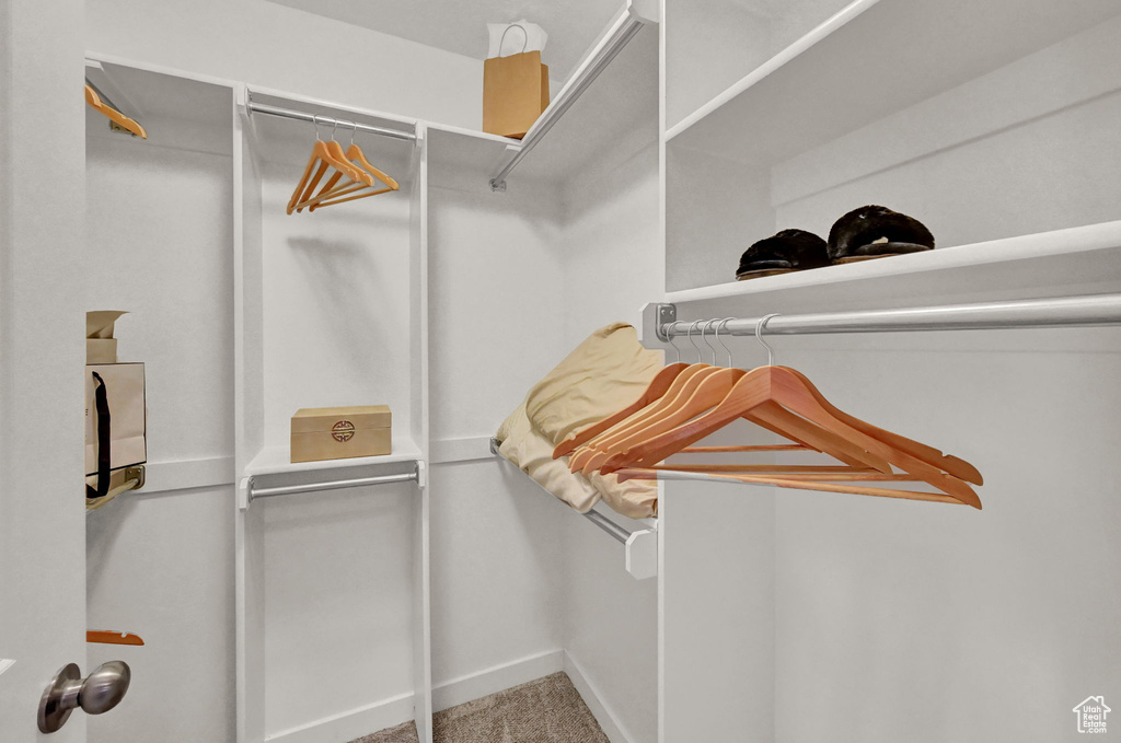 Spacious closet featuring carpet flooring