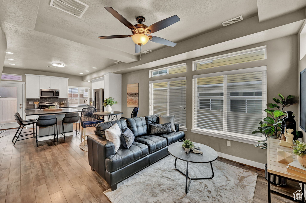 Living room with sink, wood-type flooring, a textured ceiling, and ceiling fan