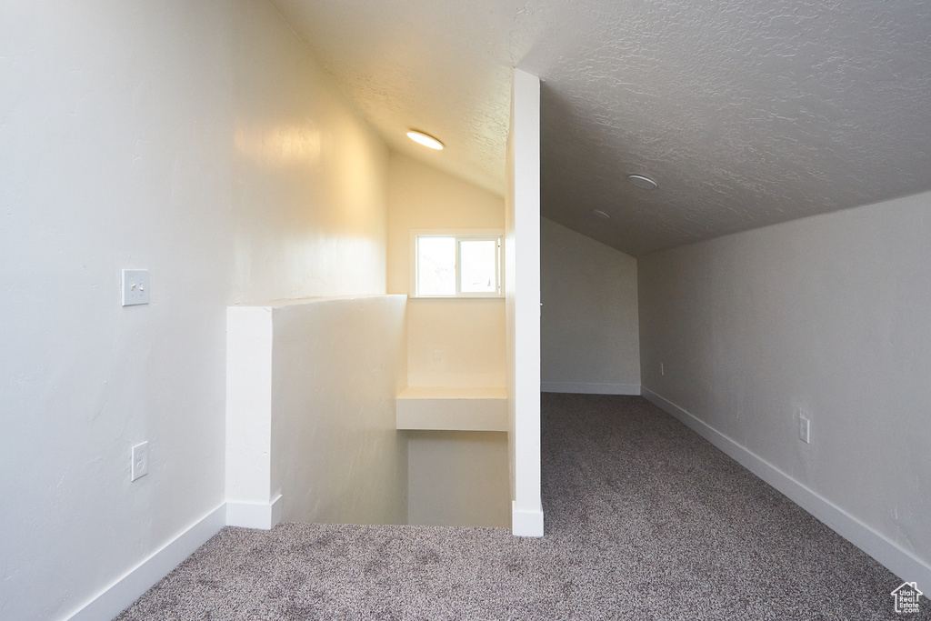 Additional living space with carpet flooring, a textured ceiling, and lofted ceiling