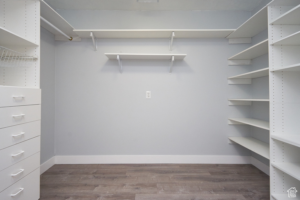 Walk in closet featuring wood-type flooring