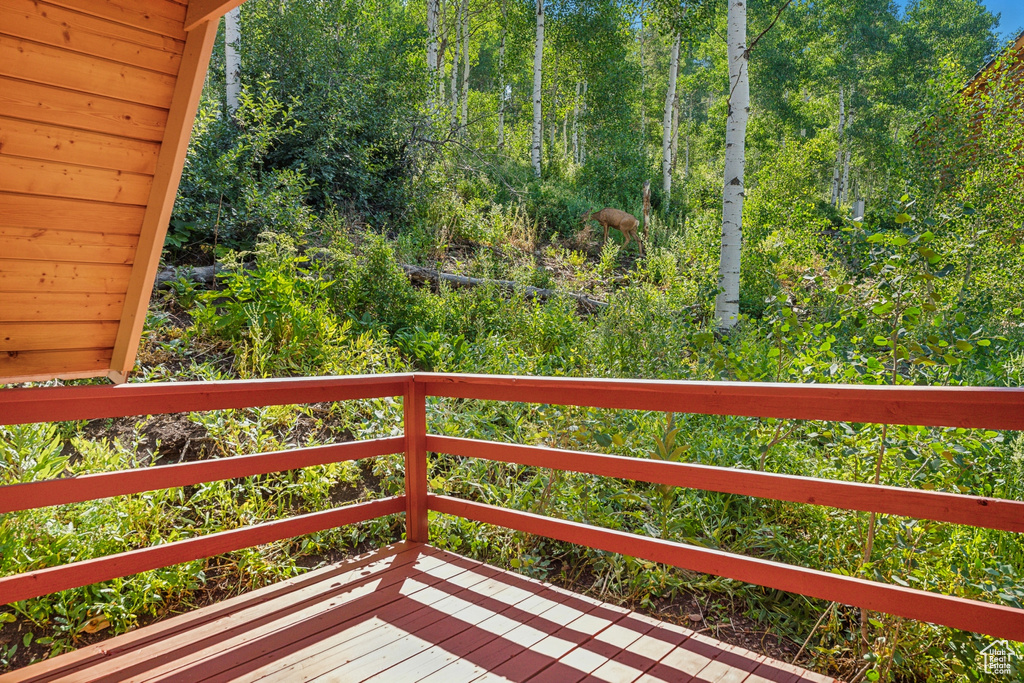 View of wooden deck