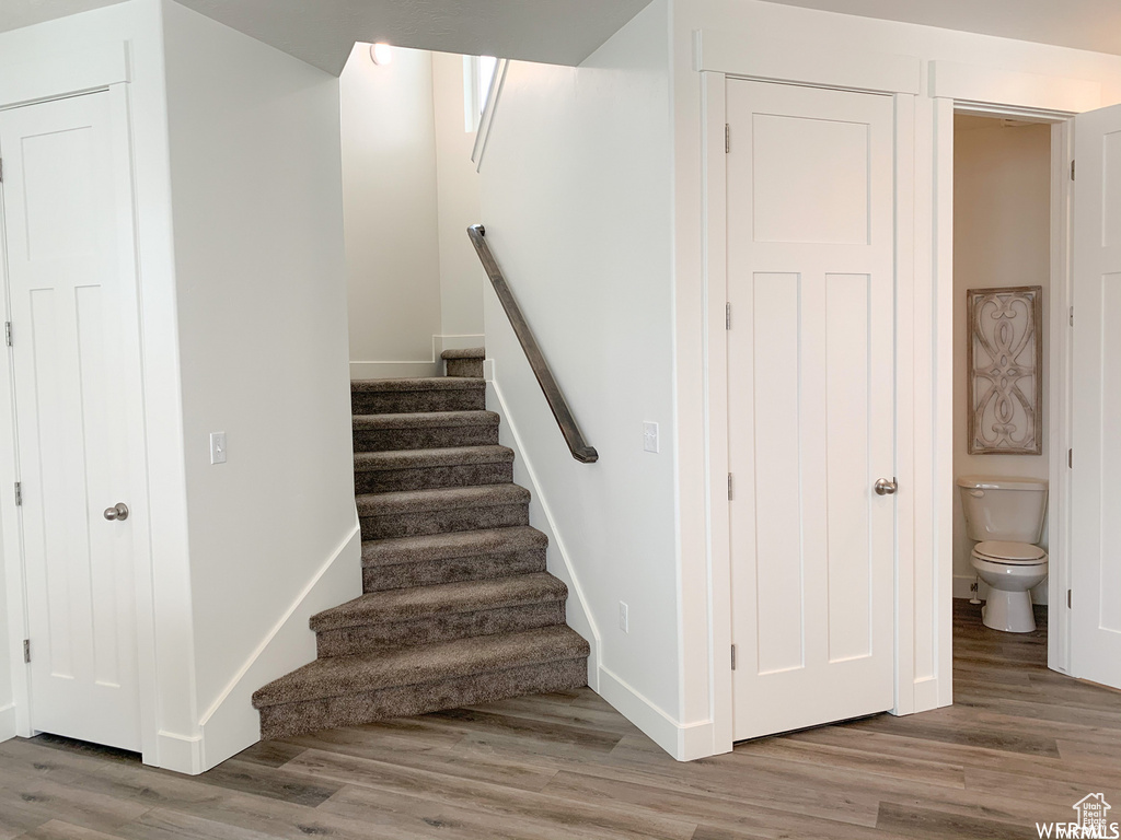 Stairway with hardwood / wood-style flooring