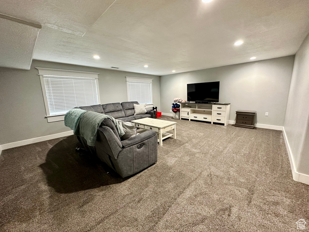 Living room featuring carpet floors and a textured ceiling